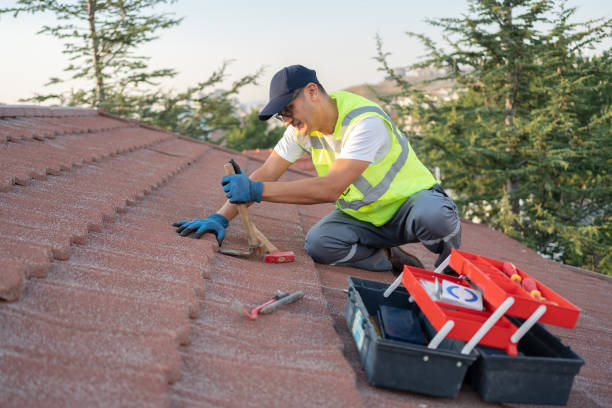 Best Roof Gutter Cleaning  in Tremont, IL